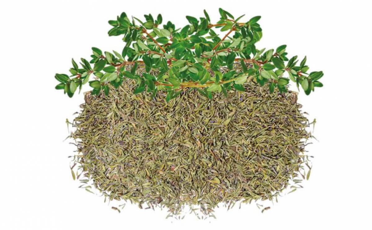 Dried Thyme