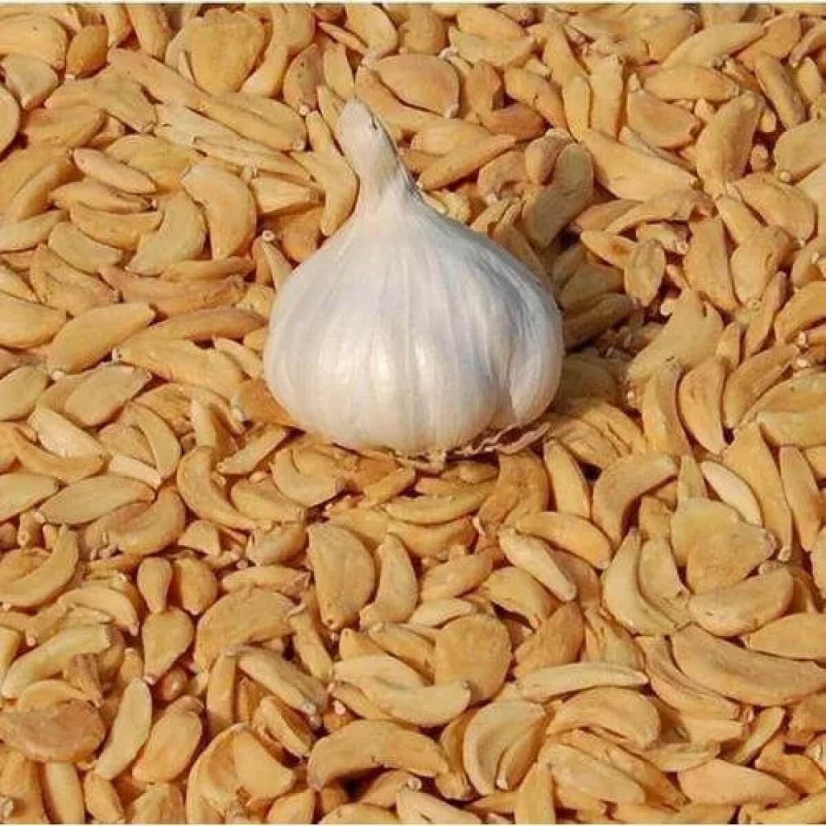 Dried Garlic