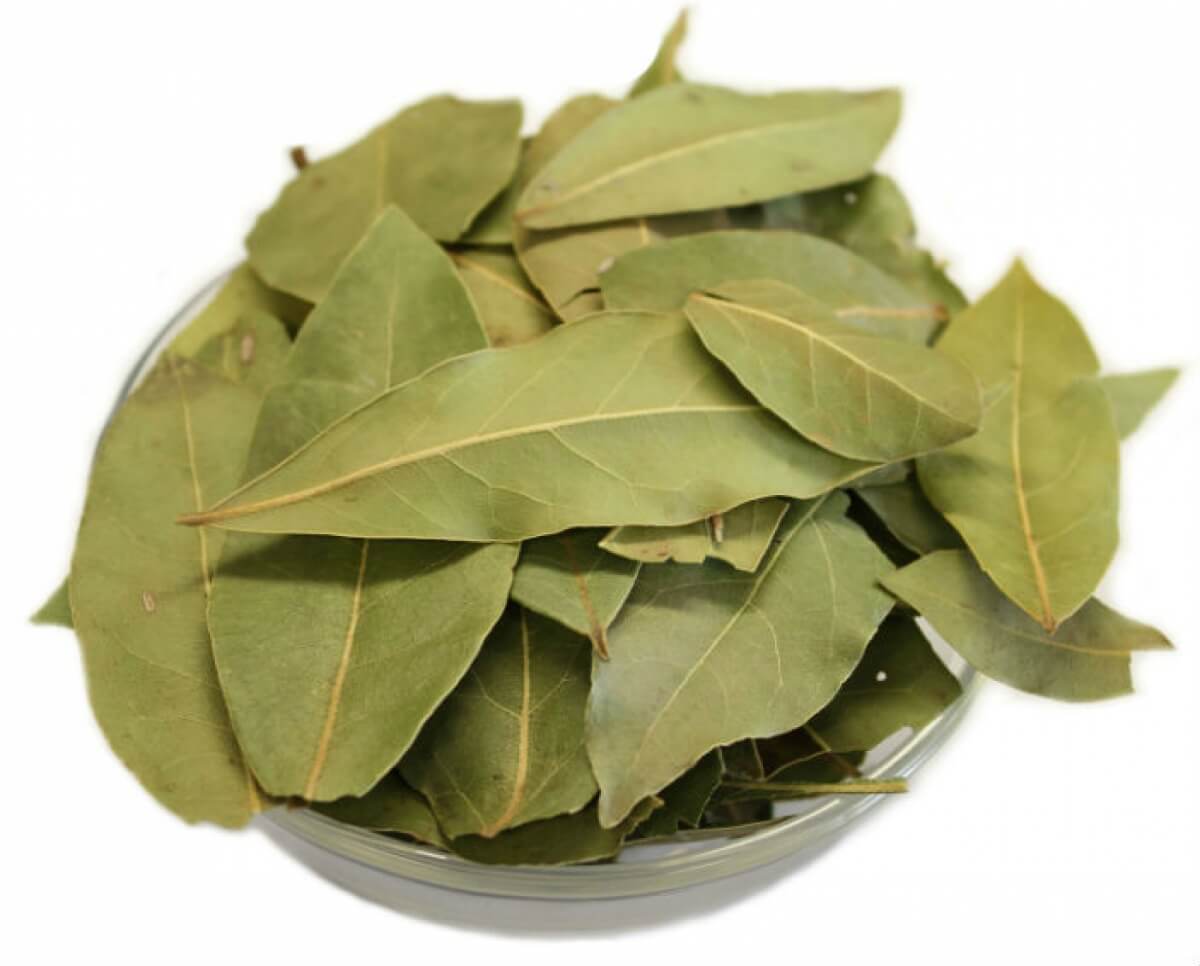 Laurel Leaves