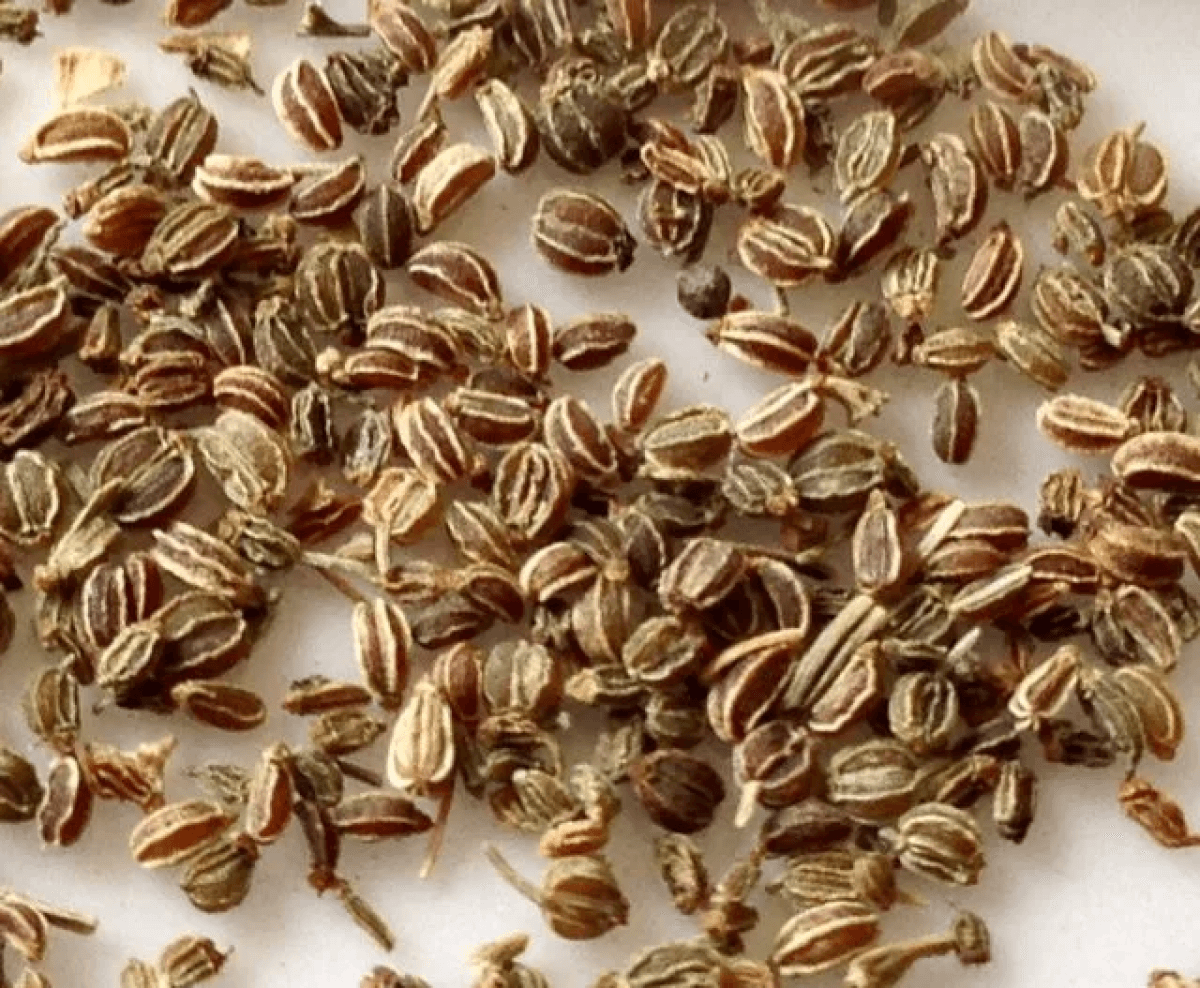 Celery Seeds