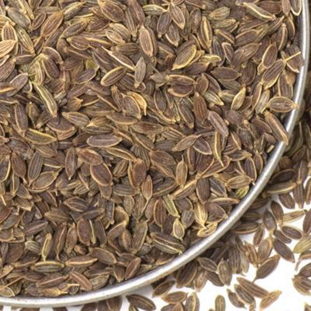 Dill Seeds