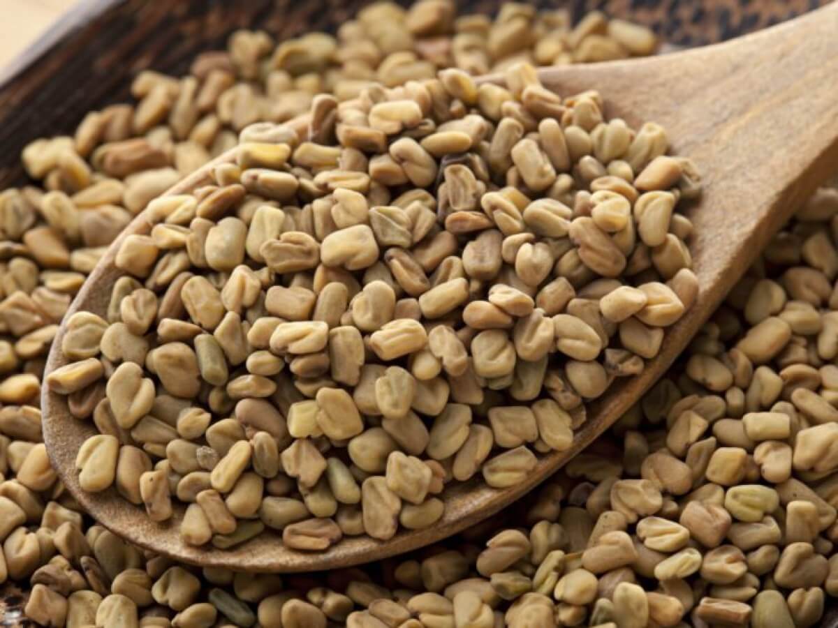 بذور الحلبة