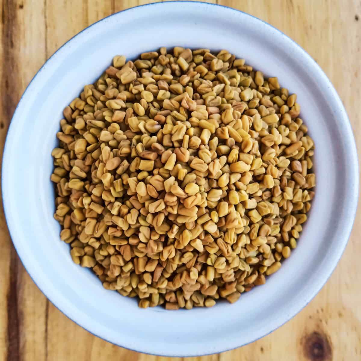 بذور الحلبة