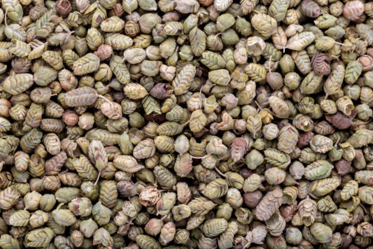 Thyme Seeds