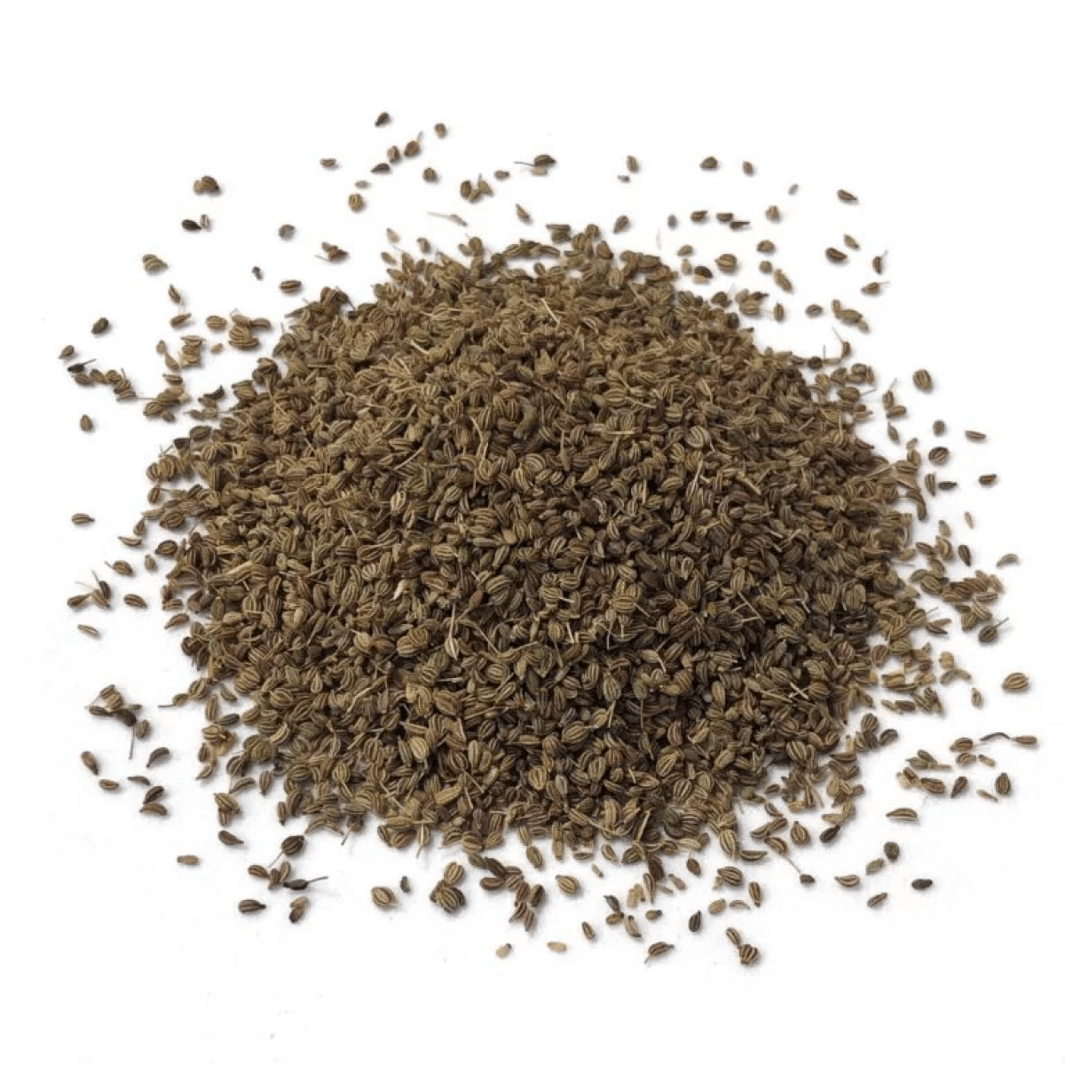 Thyme Seeds