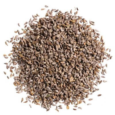 Parsley Seeds