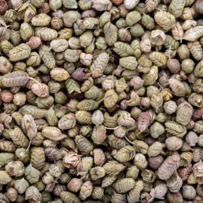 Thyme Seeds