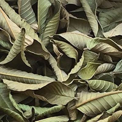 Dried Guava Leaves